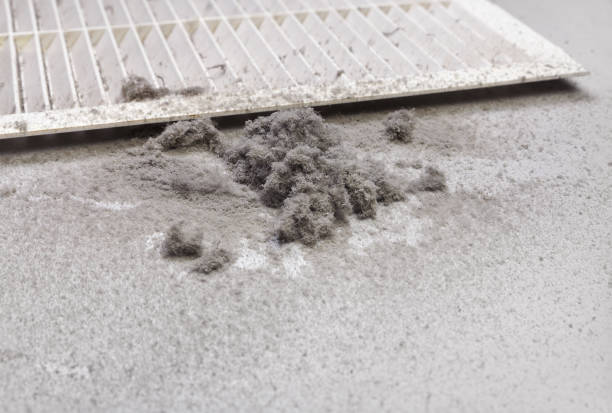 Best Emergency Air Duct Cleaning  in Holdrege, NE