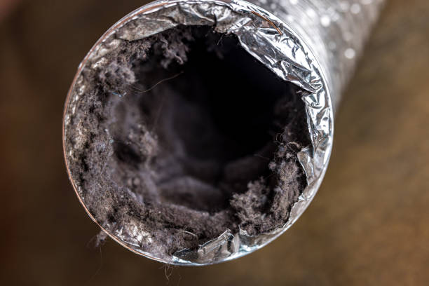 Best Local Air Duct Cleaning Services  in Holdrege, NE